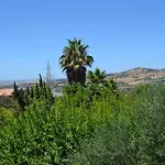 Due Fontane Caltanissetta