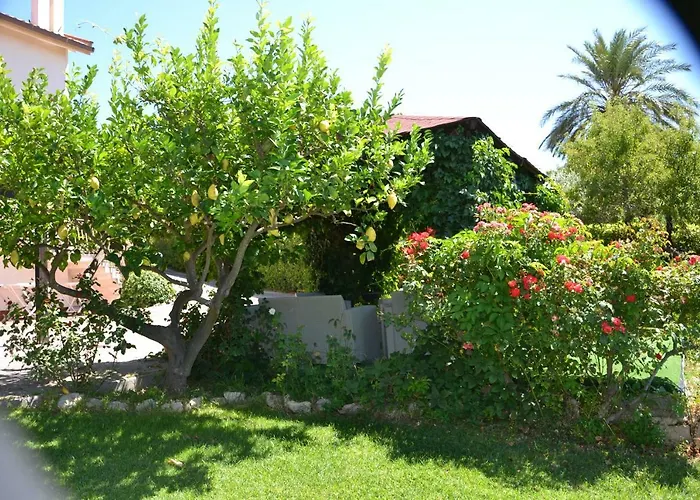 Bed & Breakfast Due Fontane Caltanissetta