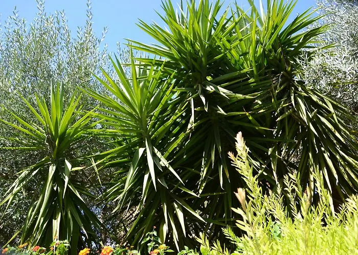 Due Fontane 4* Caltanissetta