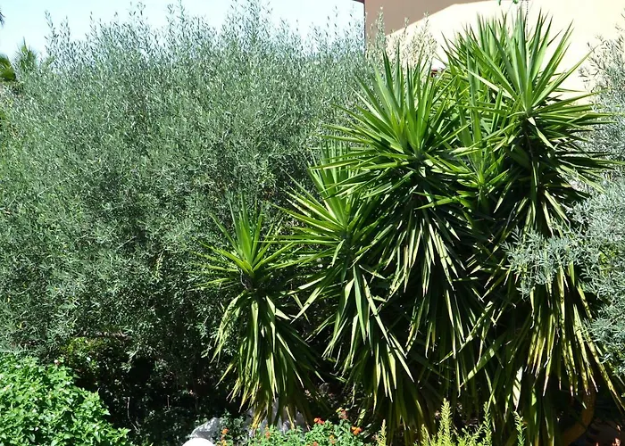 Due Fontane 4*