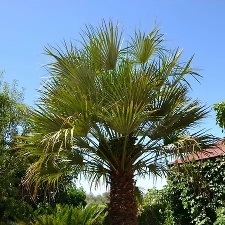 Bed & Breakfast Due Fontane 3*