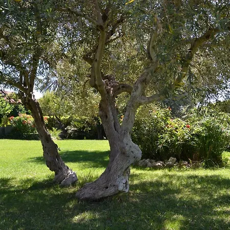 Bed & Breakfast Due Fontane 3*
