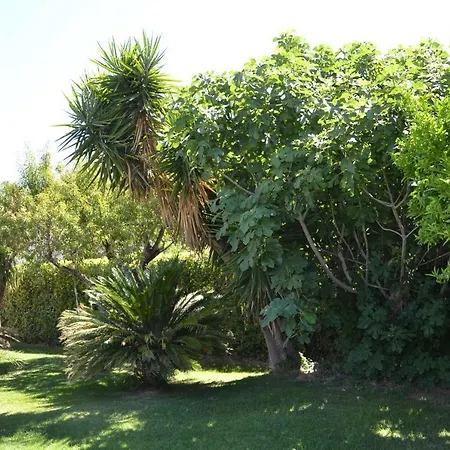 Bed & Breakfast Due Fontane