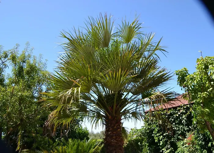 לינה וארוחת בוקר Due Fontane 4*